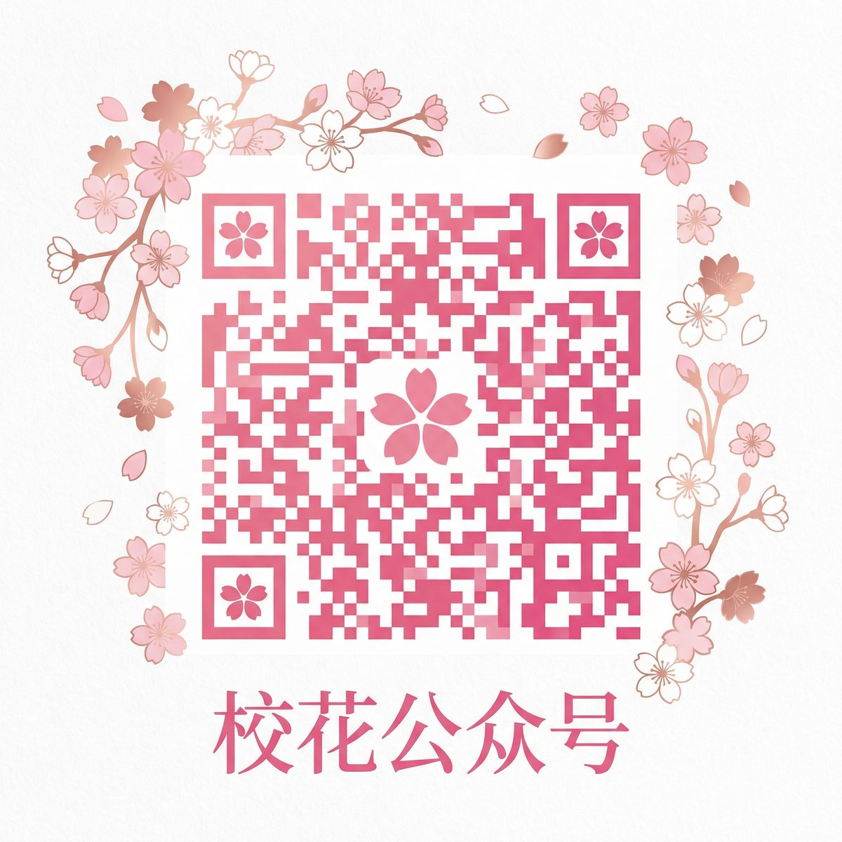 AI去衣公众号二维码